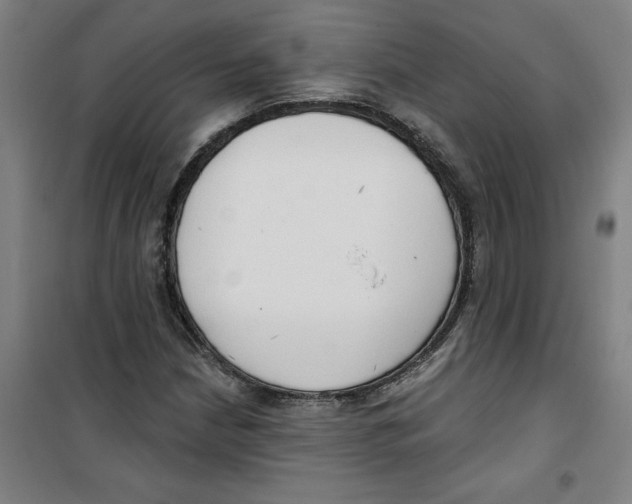 X0000100331210200807031227