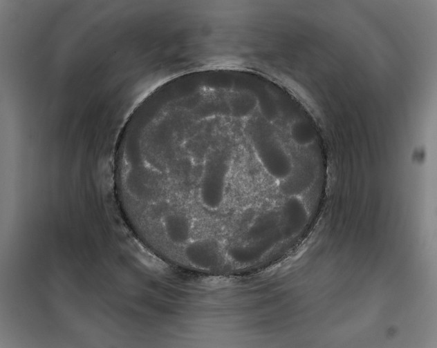 X0000100331212200807031227