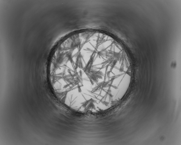 X0000100331214200807031227