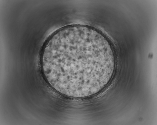 X0000100331215200807031227