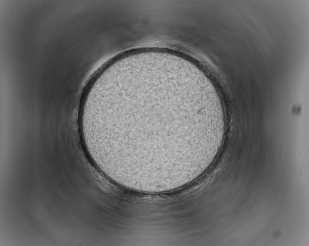 X0000100331216200807031227