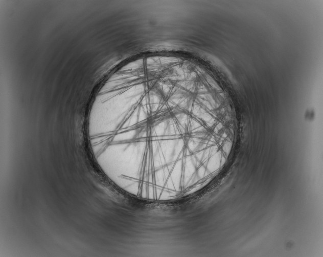 X0000100331217200807031227