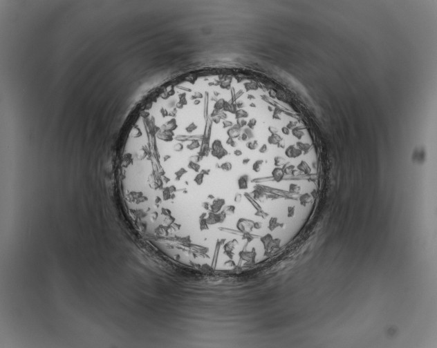 X0000100331218200807031227