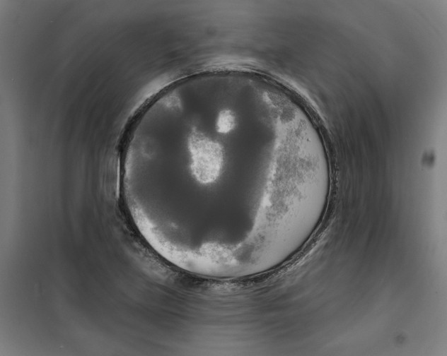 X0000100331219200807031227