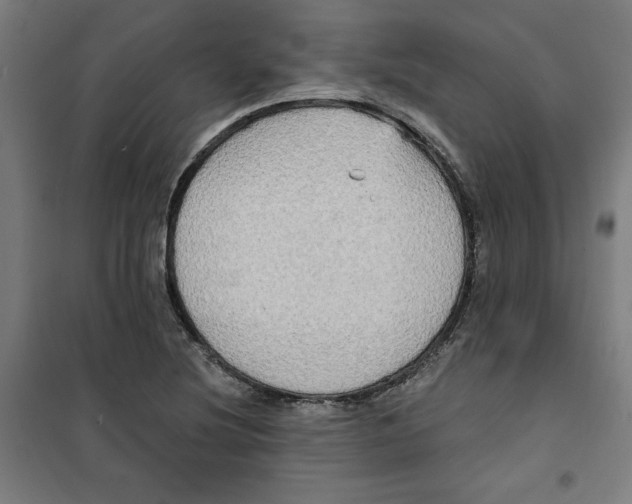 X0000100331220200807031227