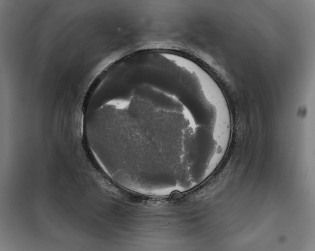 X0000100331221200807031227