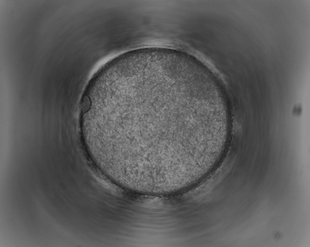 X0000100331222200807031227