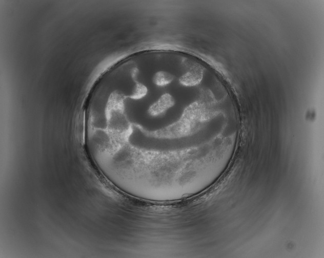 X0000100331223200807031227