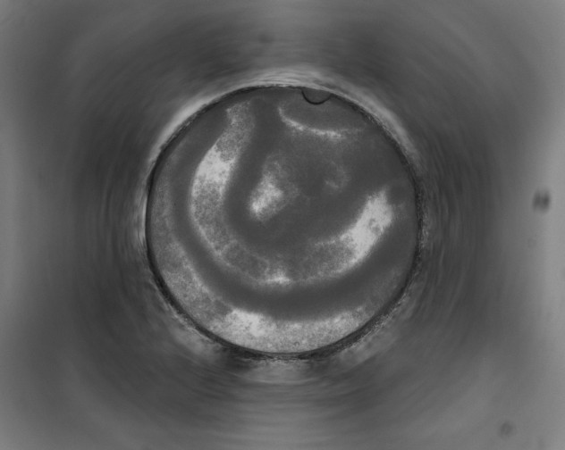 X0000100331224200807031227