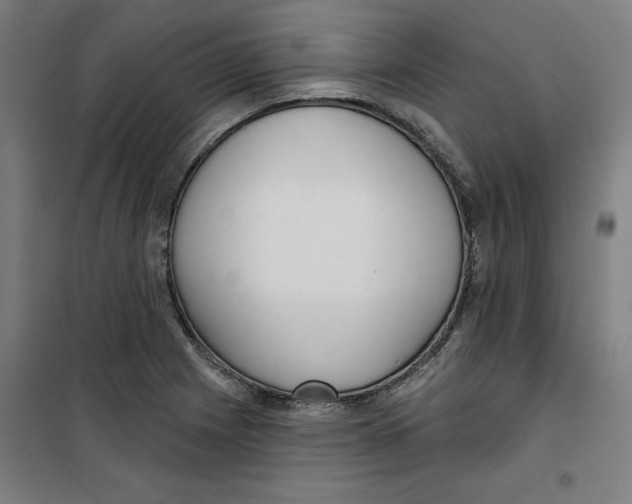 X0000100331225200807031227