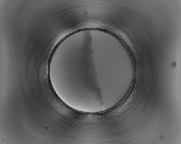 X0000100331226200807031227