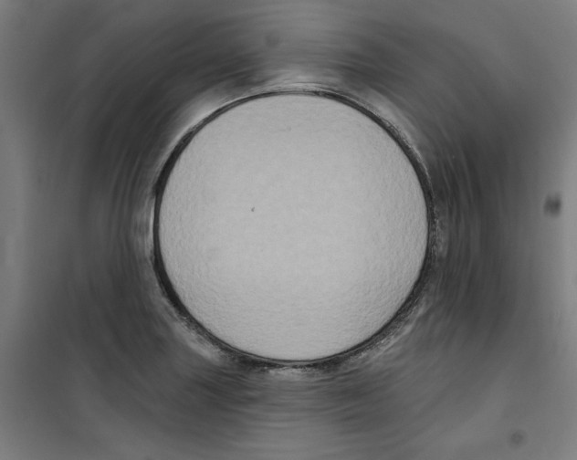 X0000100331227200807031227