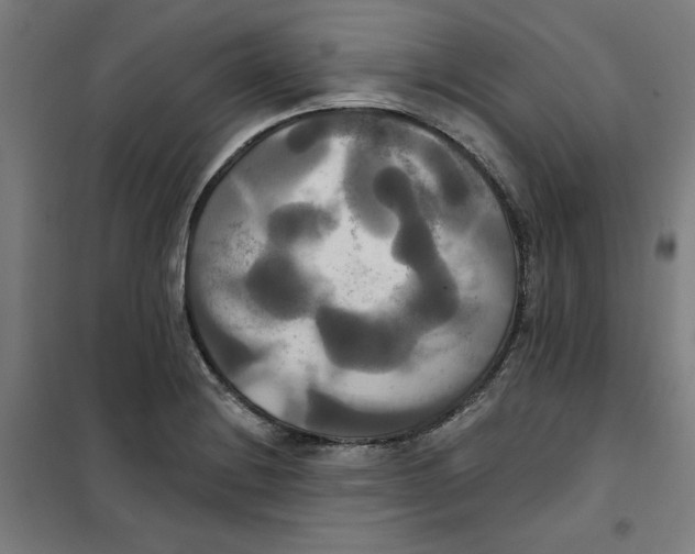 X0000100331228200807031227