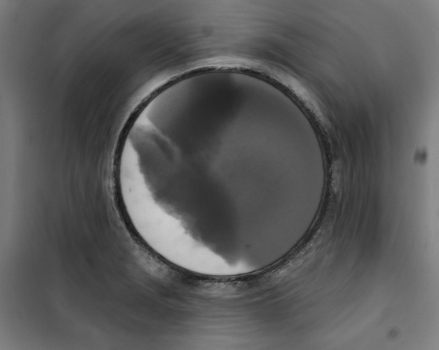 X0000100331229200807031227