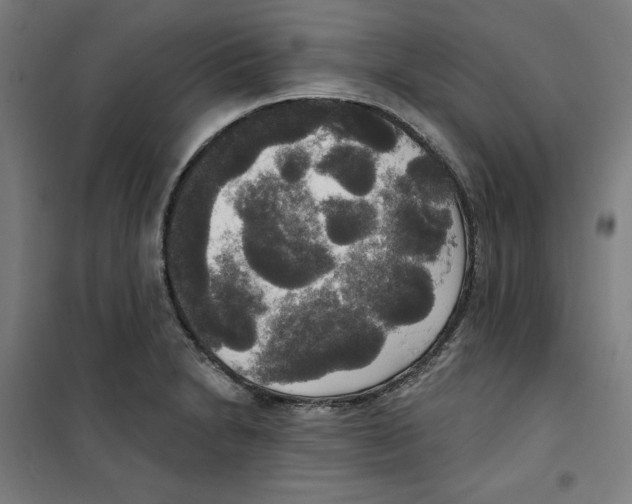 X0000100331230200807031227