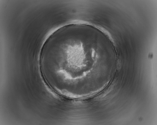 X0000100331231200807031227