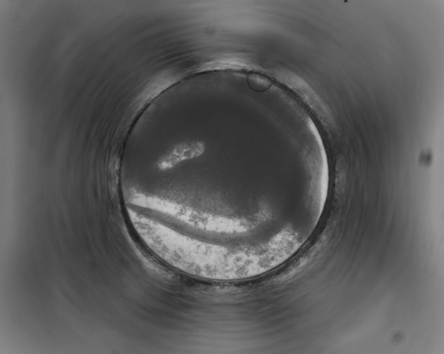 X0000100331233200807031227