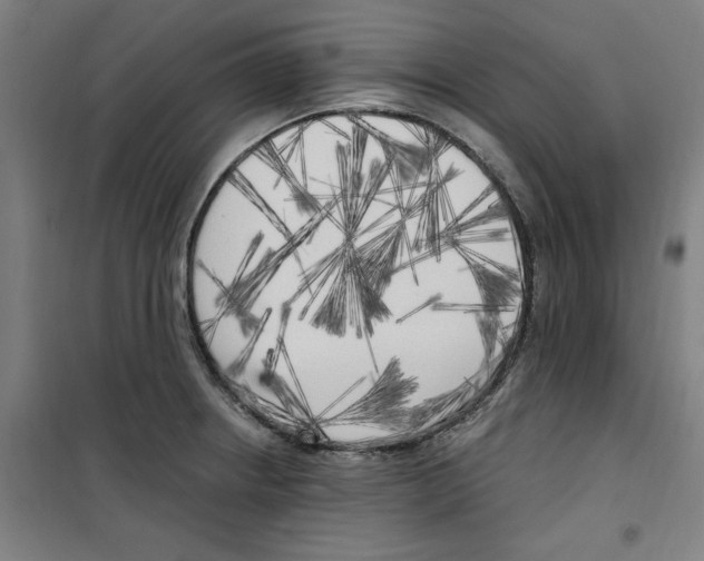 X0000100331234200807031227