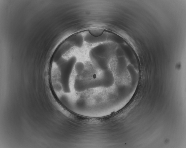 X0000100331235200807031227