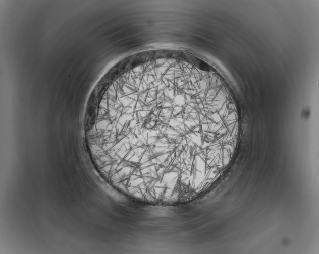 X0000100331236200807031227