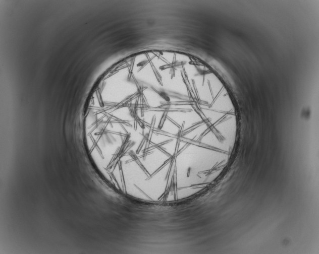 X0000100331238200807031227