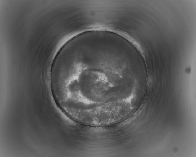 X0000100331239200807031227