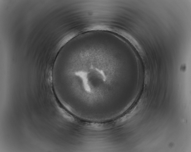 X0000100331241200807031227