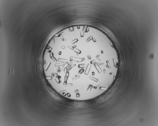 X0000100331242200807031227