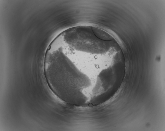 X0000100331244200807031227