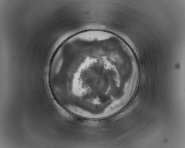 X0000100331245200807031227