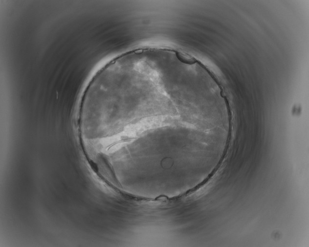 X0000100331248200807031227