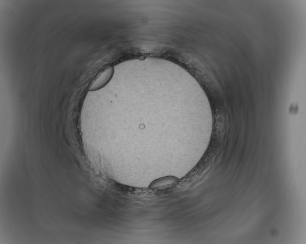 X0000100331249200807031226