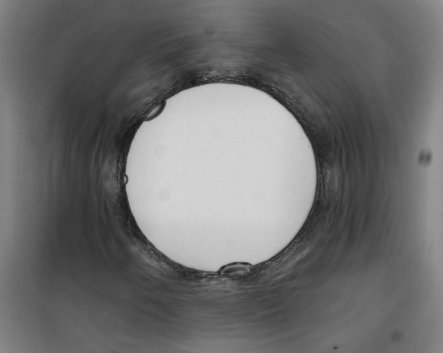 X0000100331250200807031226