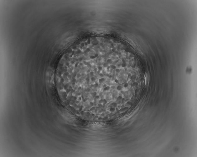 X0000100331251200807031226