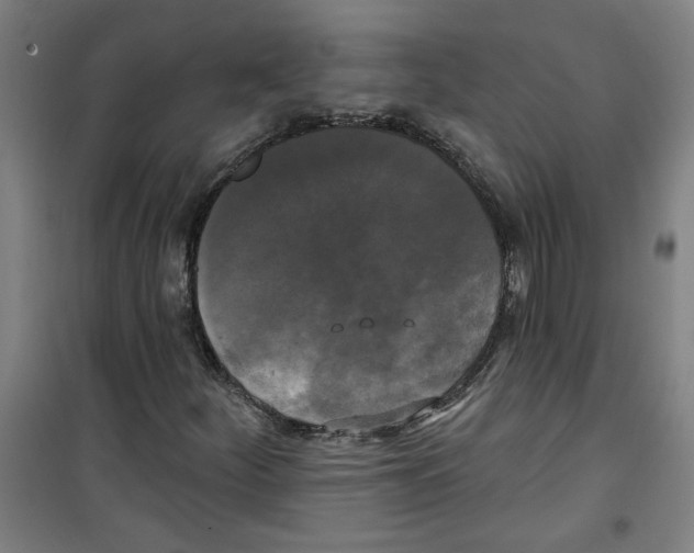 X0000100331252200807031226