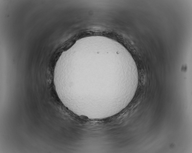 X0000100331253200807031226