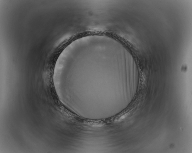 X0000100331254200807031226