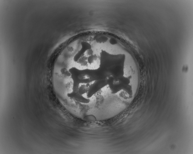 X0000100331255200807031226