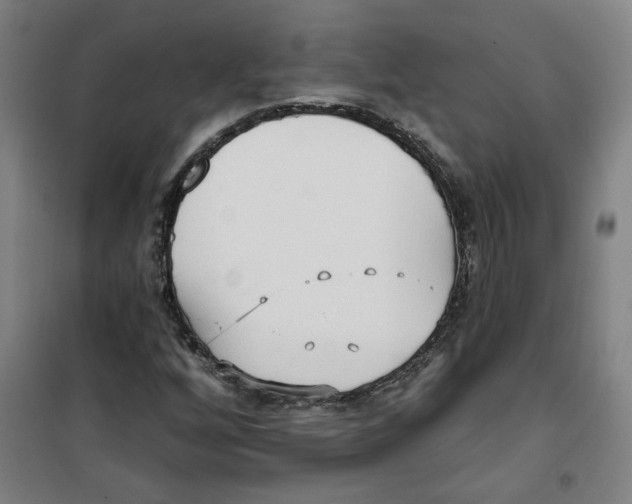 X0000100331256200807031226