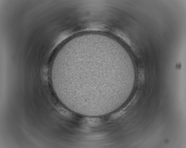 X0000100331258200807031226