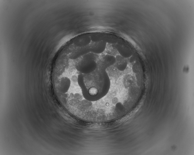 X0000100331259200807031226