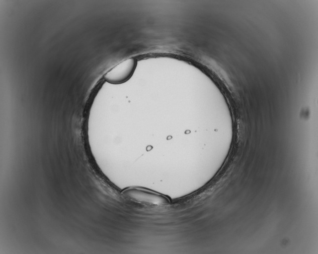 X0000100331260200807031226