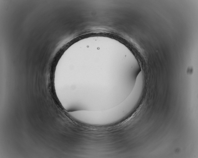 X0000100331261200807031226