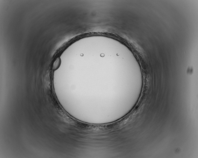 X0000100331262200807031226