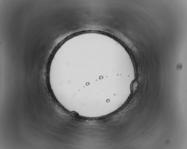 X0000100331264200807031226