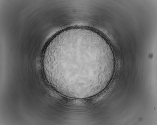 X0000100331266200807031226