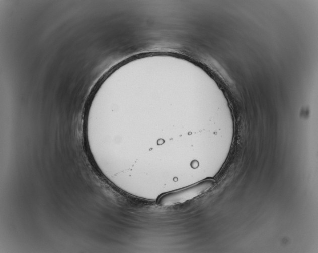 X0000100331268200807031226