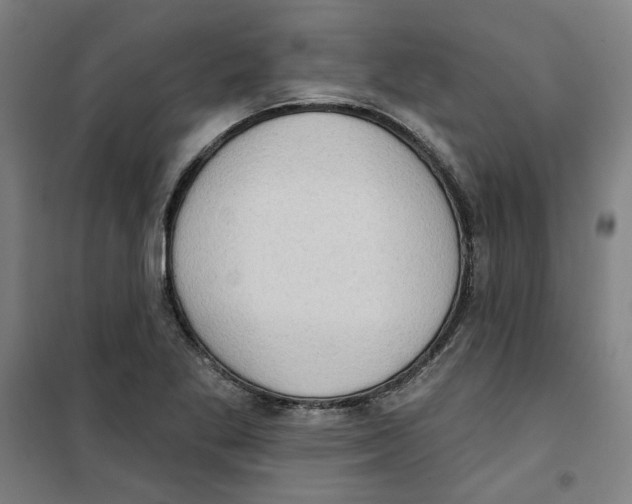 X0000100331269200807031226