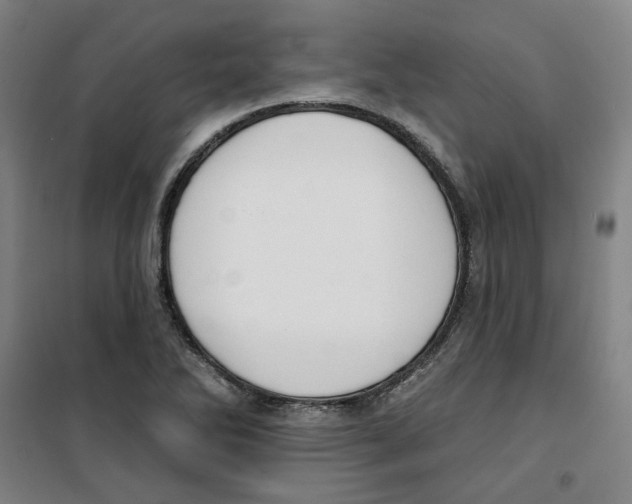 X0000100331270200807031226