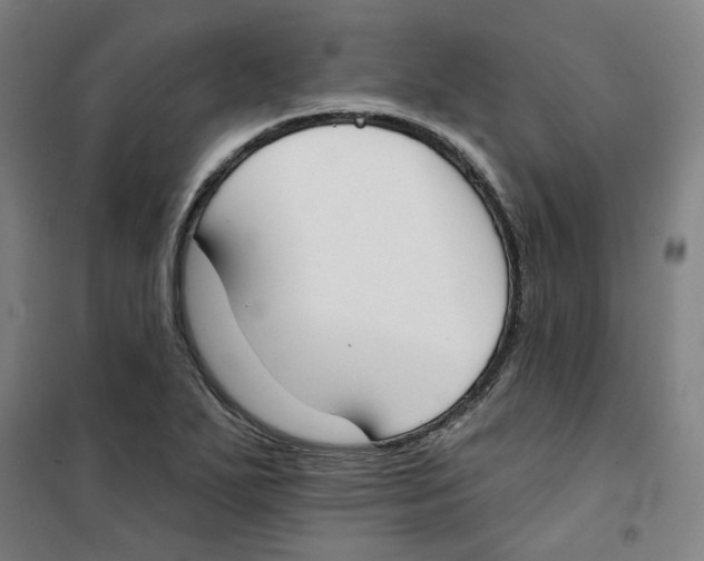 X0000100331271200807031226